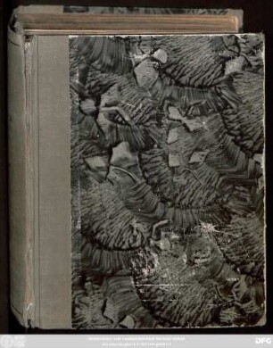 Daniel Hainocius Sacro-Sanctæ Theologicæ Studiosus