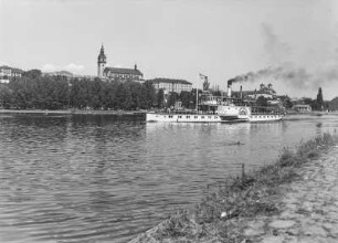 Litomerice (Leitmeritz) mit Personenseitenraddampfer "Loschwitz" (II, 1899, Werft Laubegast) gegen Altstadt und Dom