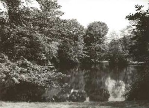 Diesbar-Seußlitz. Schlosspark mit Teich