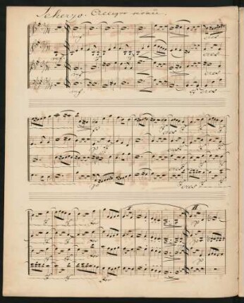 Scherzo. Allegro vivace