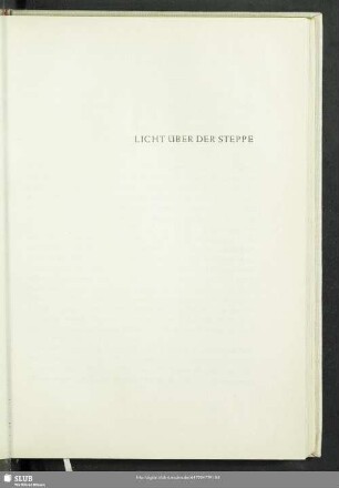 Licht Über Der Steppe