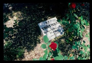 Friedrichshain 16.6.73.