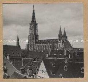 Ulm an der Donau, Münster
