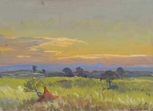Abendstimmung im Krüger Nationalpark (Natal)