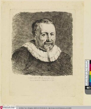 [Porträt eines Mannes nach Van Dyck; Portrait; d'après Van Dyck]