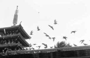 Pagode und fliegende Tauben, Tokio