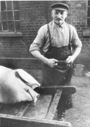 Schlachter und Geschlachtete. Der Fleischer wetzt das Messer. Ein geschlachtetes Schwein liegt auf einer Bahre