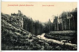 Beneschau. Im Bannholz