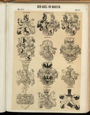 Taf. 13. Enzenberg. - Enzenberg 1578. - Enzenberg Fhr. 1670 - Enzenberg Grf. 1764. - Erffa Fhr. - Fahnenberg. - Frays Fhr. - Hundheim. - Ifflinger. - Imturn.