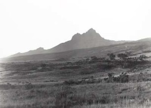 Kilimandscharo. Blick zum Mawensi : Deutsch-Ostafrika (heute: Tansania). Kilimandscharo. Mawensi (5149 m; ältere vulkanische Spalte). Blick von der Waldgrenze (alpine Vegetation; 3500 m) von Nordwest, um 1888
