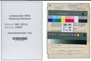 Entnazifizierung Fritz Hammerschmidt , geb. 13.01.1890 (Arbeiter)