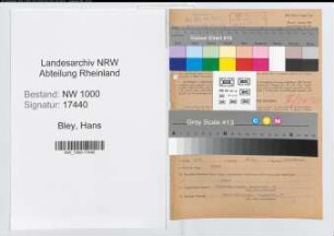 Entnazifizierung Hans Bley, geb. 29.12.1908 (Wirtschaftsberater)