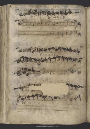 Walter, Johann; Verdelot, Philippe: Deus qui sedes. Arr