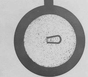 Kraftlinien eines Hufeisenmagneten, Leppin & Masche : Technikgeschichte | Physik | Magnetismus | Magnetismus und elektrische Kraftlinien