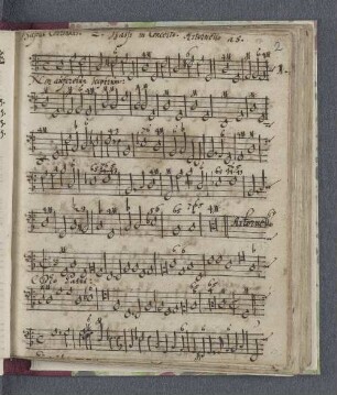 Bassus Continuus