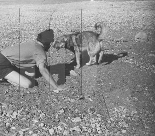 Duvefjord : Werner Schlösser und Hund Egon