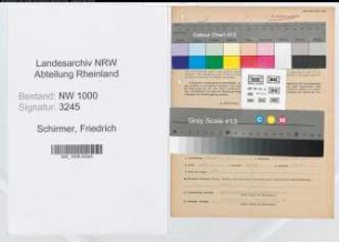 Entnazifizierung Friedrich Schirmer, geb. 28.04.1900 (Prediger)