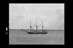 Godewind