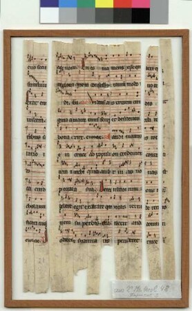 [Fragment III] [Antiphonale]