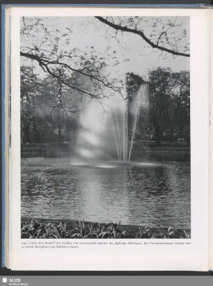 Hinter dem Rondell mit Fontäne und Seerosenteich beginnt der idyllische Albertpark