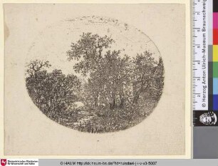 [Landschaft mit einem Bach und Weiden; Landscape with a brook and willows]