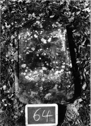 Grabstein 64 (Index: 100090670) Material: Sandstein Zustand: verwittert mit völligem Textverlust Maße HxBxT: 80x46x0 cm Beschreibung: Stele, Konvexbogenabschluß, Schriftfeld eingetieft: Grabstein 64