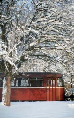 Leonbronn Schienenbus 798 514