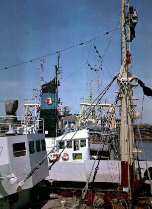 Frachtschiffe im Hafen