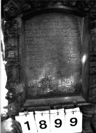 Grabstein 1899 (Index: 100096608) Maße HxBxT: 94x51x30 cm Symbolik: Rosette Besonderheit: Kindergrab: Grabstein 1899 (Detailaufnahme)