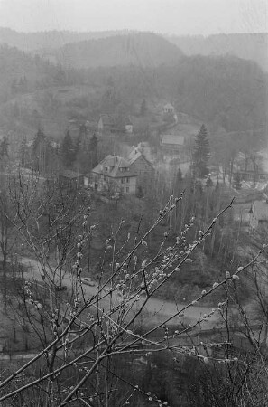 Blick in ein Tal. Im Vordergrund ein knospendes Bäumchen, im Hintergrund eine bergige Waldlandschaft und ein Dorf