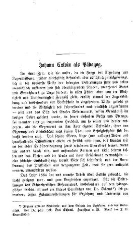 Johann Calvin als Pädagog