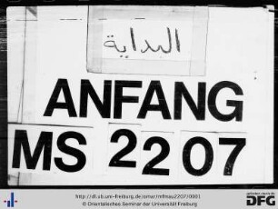 MF Mau 2207