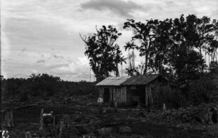 Polnische Kolonie : Zwei Hütten auf dem Gelände der polnischen Kolonie bei Londrina.