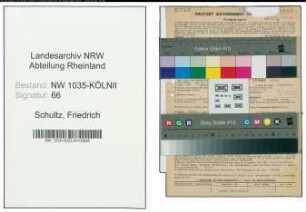 Entnazifizierung Friedrich Schultz , geb. 20.01.1902 (Bergingenieur)
