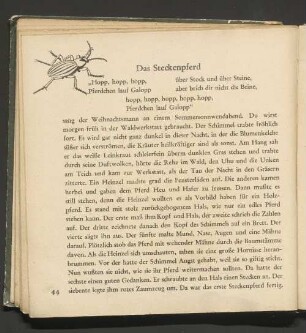 Das Steckenpferd