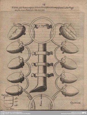 Tabula, sive Ramus triplex Arboris Philosophicae de compositone Lactis Virginis, seu Aceti Philosophorum acerrimi.