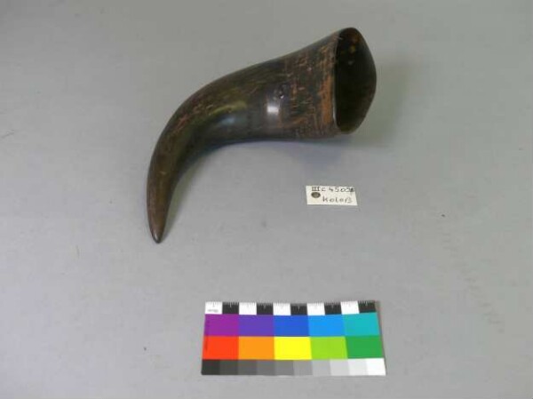 Buffalo horn as a drinking horn