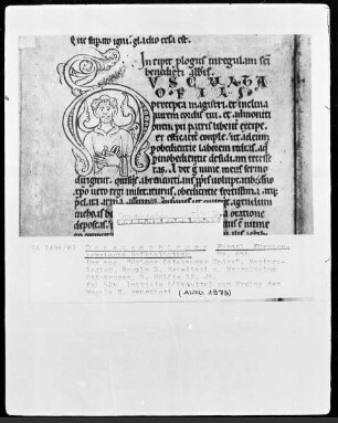 Hs. 655 & Weißer Ottobeurer Codex & Necrologium & Regula S. Benedicti & fol 52v