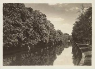 Der Landwehrkanal zur Zeit der Kastanienblüte : Berlin. Blick über den Landwehrkanal