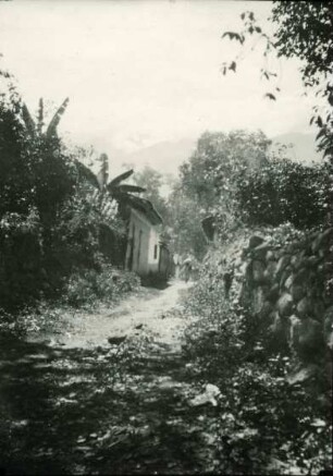 Nebenstraße in Merida