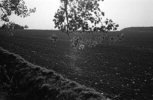In Stubbendorf/Mecklenburg-Vorpommern