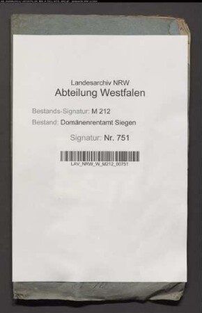 Revision der Domänen-Rechnung des Rentamtes Grafschaft