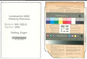 Entnazifizierung Eugen Seeling , geb. 01.04.1900 (Elektriker)