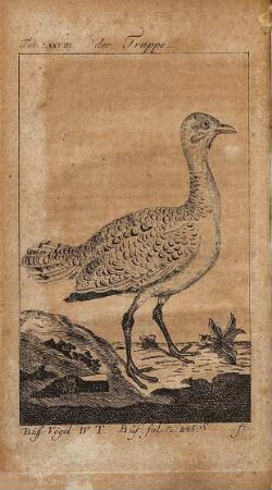 Herrn von Büffons Naturgeschichte der Vögel, 4