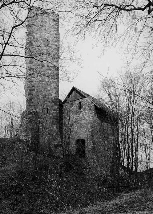 Ruine der Boyneburg; Sontra, Ruine Boyneburg, Burgplatz