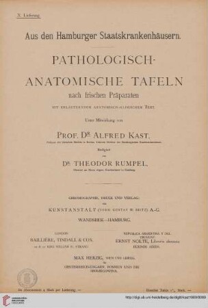 Heft 10: Pathologisch-anatomische Tafeln