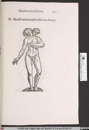 Monstrum hermaphroditicum biceps.