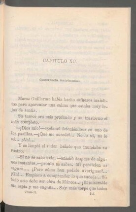 Capítulo XC. - Conferencia matrimonial.