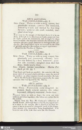 Arca quadrisulcata. Tab. CCCCLXXIII. - fig. 1