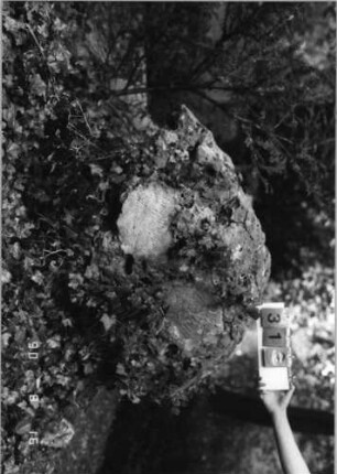 Grabstein 312 (Index: 99618436) Maße HxBxT: 100x113x60 cm Besonderheit: kulturhistorisch wertvoll / hist.-wiss. Gründe (Schoah-Opfer); - Doppelgrab für Eheleute: Grabstein 312